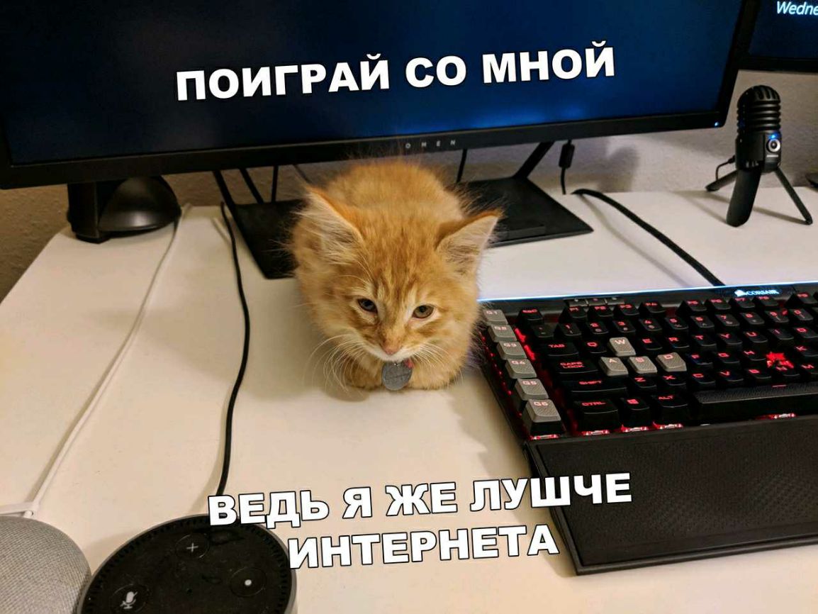 ВЕДЬ ЕЮ ЖЁ ВПУШЧЕ _ ИЁЁЁЁЁЁТА