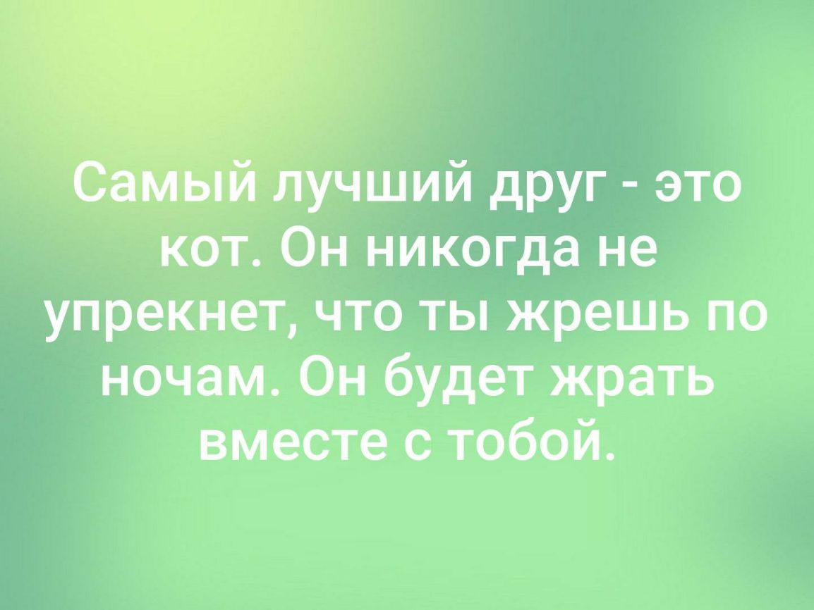 лучший друг это кот Он никогда не упрекнет что ты жрешь по ночам Он будет жрать вместе с тобой