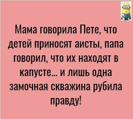 Ё Мама говорила Пете что детей приносят аисты папа говорил что их находят в капусте и лишь одна замочная скважина рубила правду