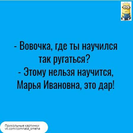 Вовочка где ты научился так ругаться Этому нельзя научится Марья Ивановна это дар