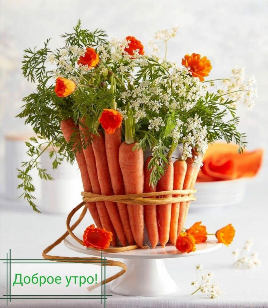 Доброе утро