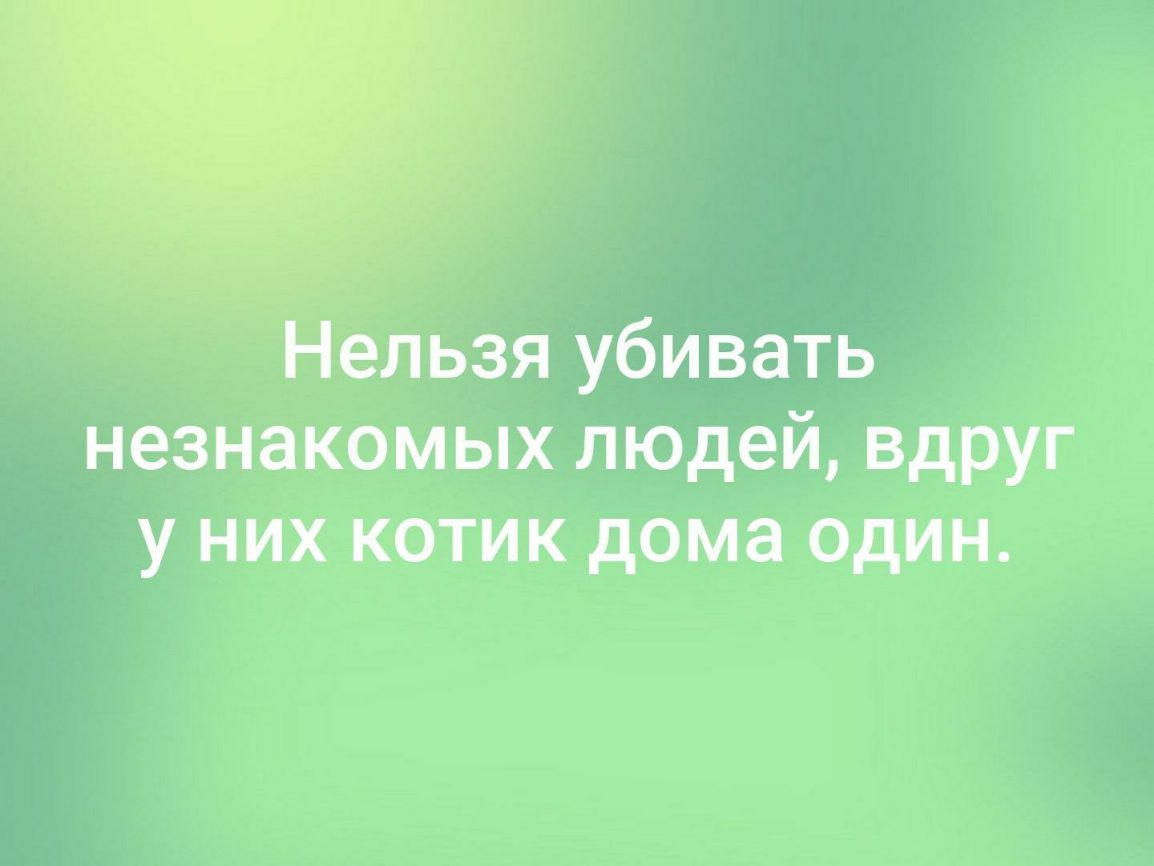 Нельзя убивать незнакомых людей вдруг у них котик дома один - выпуск №299740