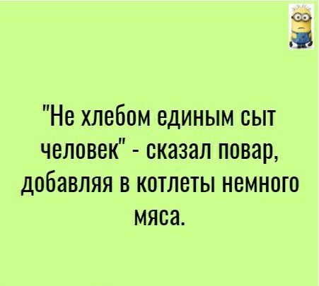 Не хлебом единым сыт человек оказал повар добавляя в котлеты немного мяса