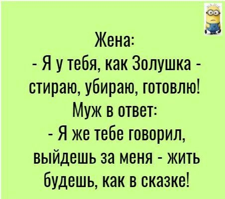 Жена Я у тебя как Золушка стираю убираю готовлю Муж в ответ Я же тебе говорил выйдешь за меня жить будешь как в сказке