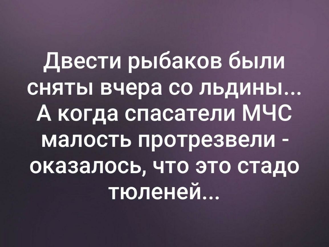 Двести рыбаков были сняты вчера со льдины А когда спасатели МЧС малость протрезвели оказалось что это стадо тюленей