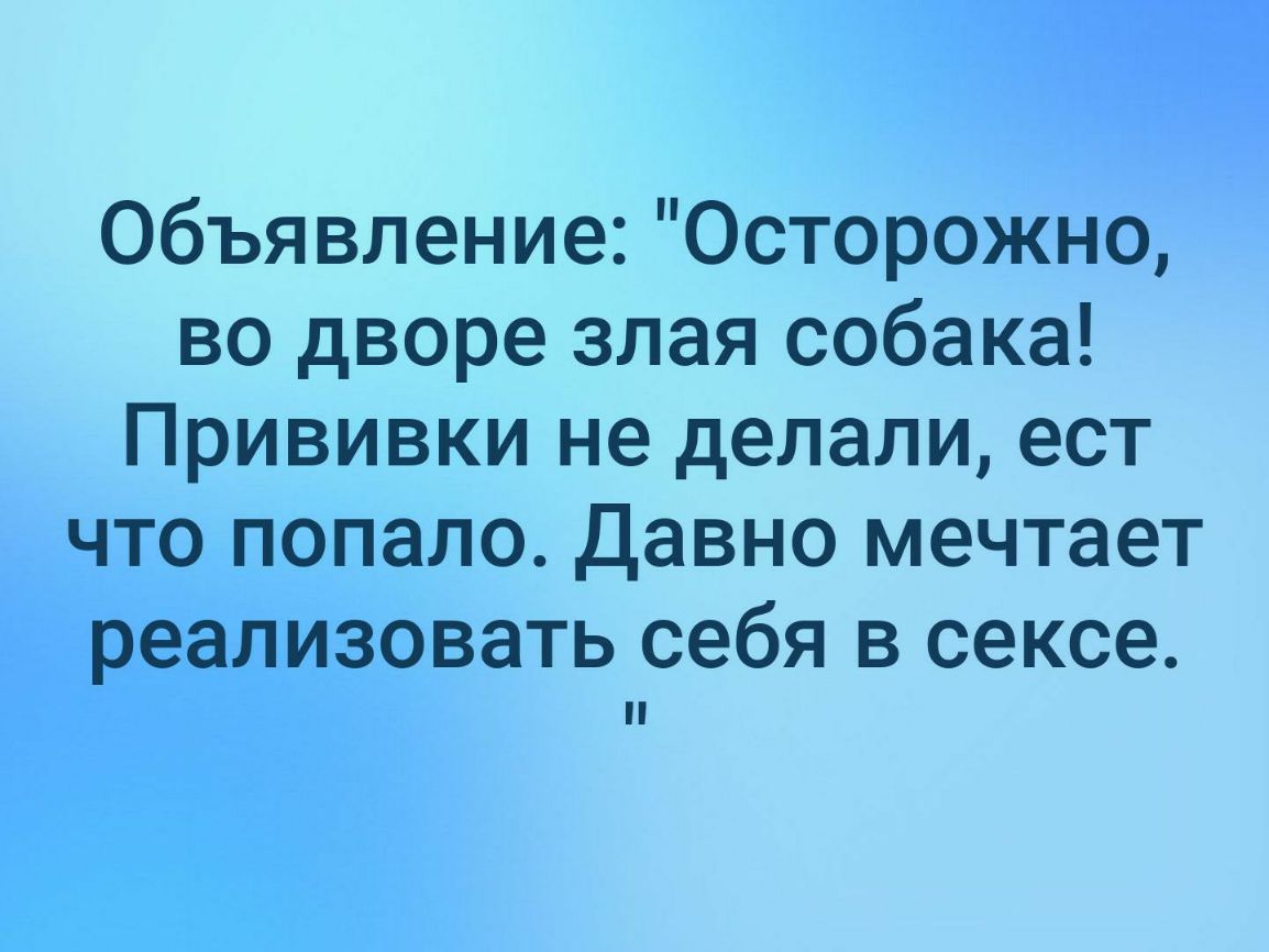 Объявление Осторожно во дворе злая собака Прививки не делали ест что попало Давно мечтает реализовать себя в сексе