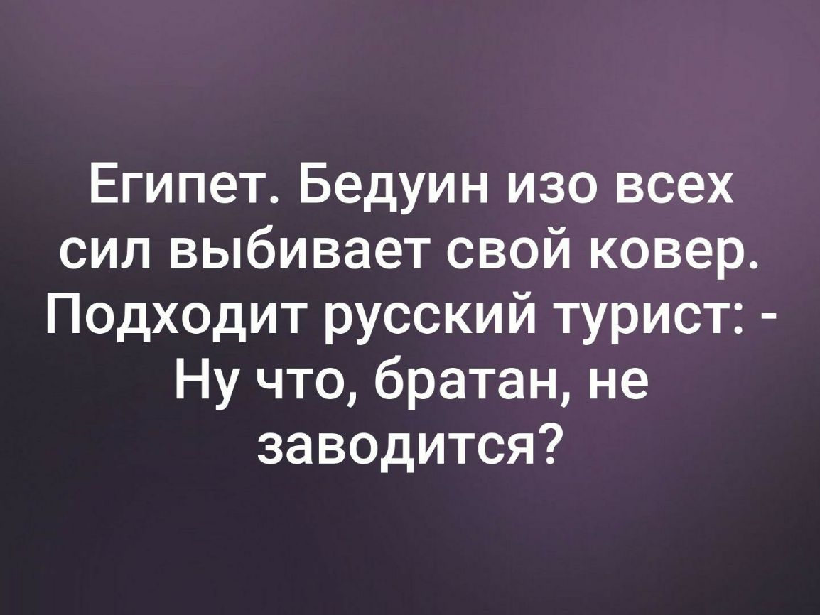 Египет Бедуин изо всех сил выбивает свой ковер Подходит русский турист Ну что братан не заводится