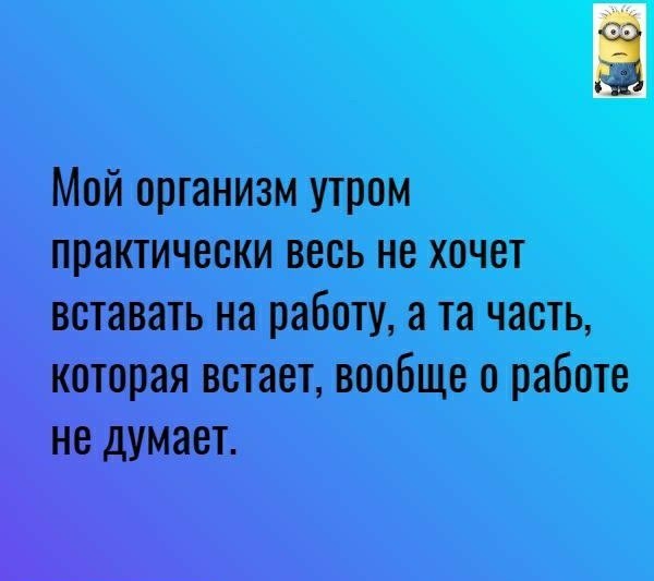 Мой организм утром практически весь не хочет вставать на работу а та часть которая встает вообще о работе не думает