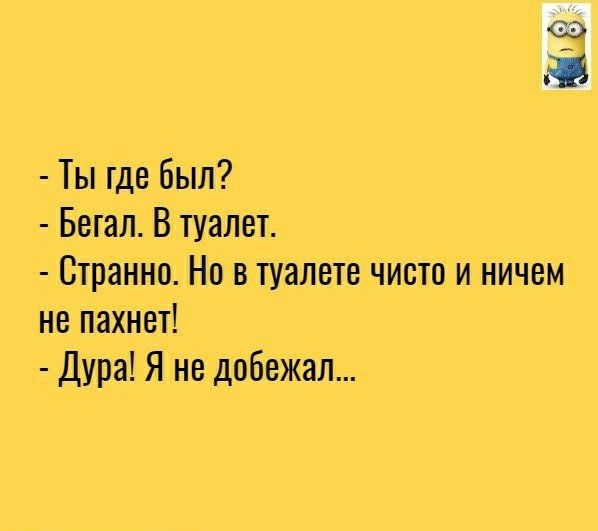 Ты где был Бегал В туалет Странно Но в туалете чисто и ничем не пахнет Дура Я не добежал