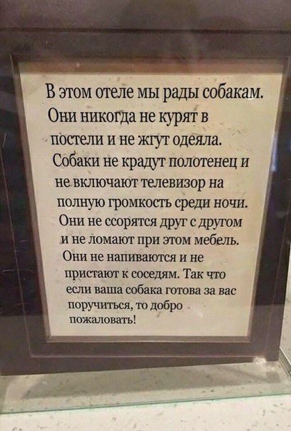 В этом жде мы рады собакам Они никогда не курят в постели и не жгут одеяла Собаки не краги полотенец И не включают телевизор на полную громкосгь среди ночи Они не ссортя друг с друтм и не ломаюг при Эюм мебель Они не напиватчзя и не присгат к соседям Так что если ваши собака това за вас иоручтьсл то добро пожаловать