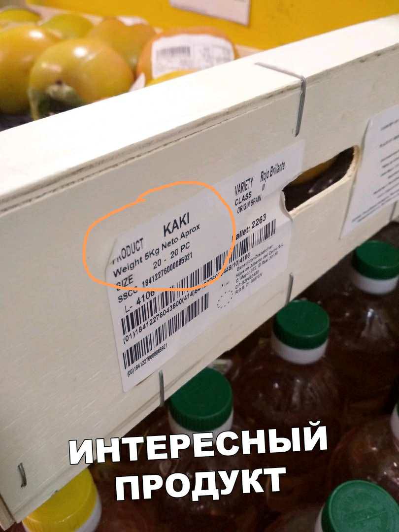 595 А 100 И ЁЧЁЧЪЪЦИ у