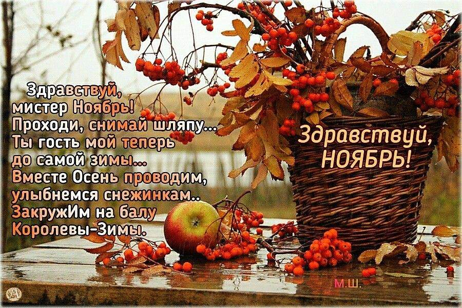 Здравствуй Вместе Осень гтмтзть НОЯБРЬ