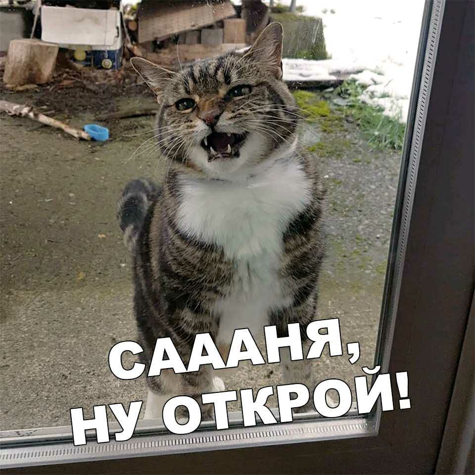 п