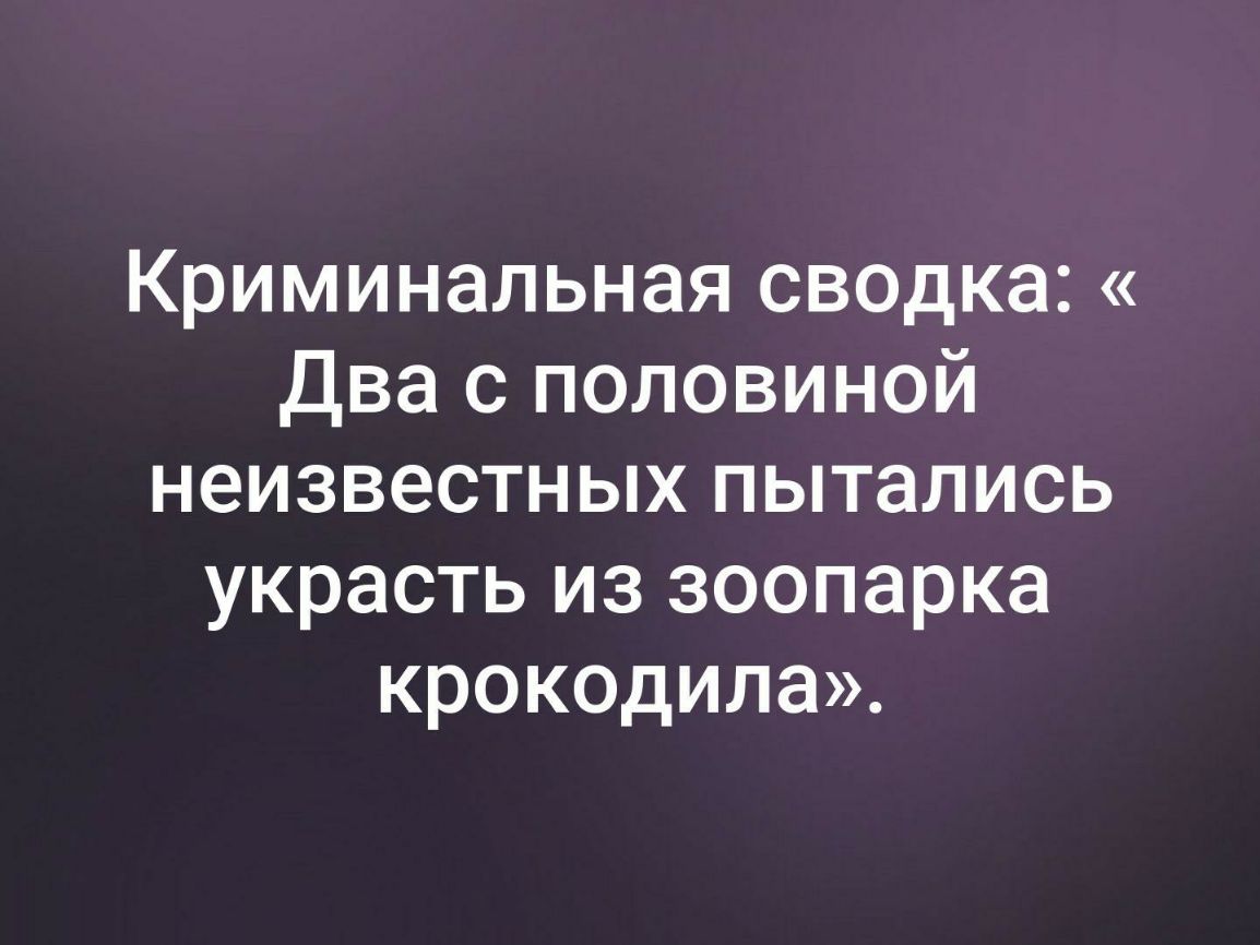 Криминальная СВОдка Два с половиной неизвестных пытались украсть из зоопарка крокодила