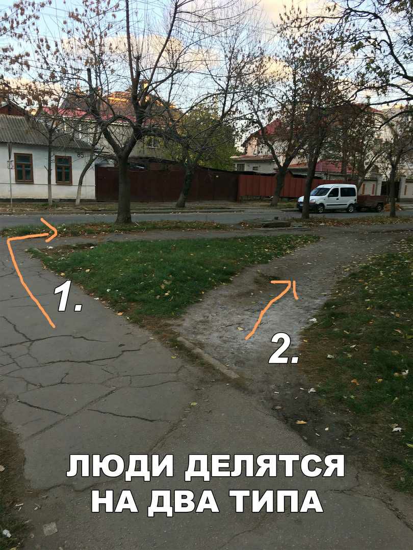 люди дЕлятся НА двд типд