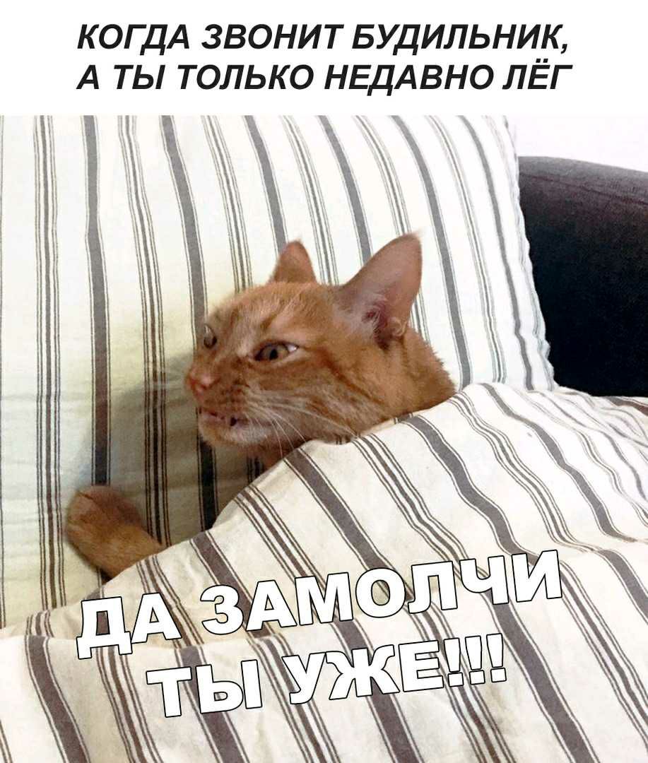 КОГДА ЗВОНИТ БУДИЛЬНИК