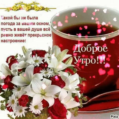 наций акой бы ни была погода за нашм окном лишь в вашем душе все равно живёт прекрьсное настроение