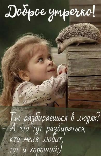 Ёриешьсл бцюдях 17679 ри Эйриться ня ио ит и хороший