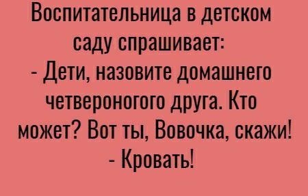 Воспитательница в детском саду спрашивает Дети назовите домашнего четвероногого друга Кто может Вот ты Вовочка скажи Кровать