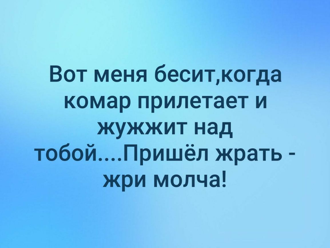 Вот меня беситкогда комар прилетает и жужжит над тобойПришёл жрать жри молча