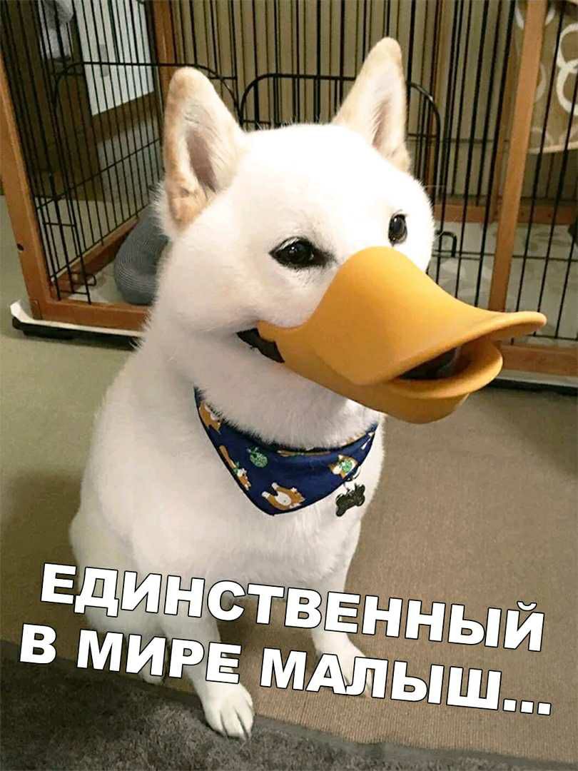 ъч _1н