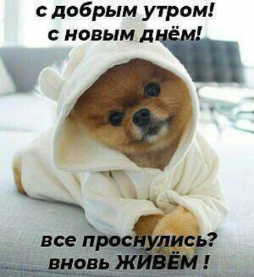 с добрым утром с новым л