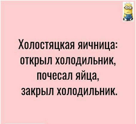 Ё Холостяцкая яичница открыл холодильник почесал яйца закрыл холодильник
