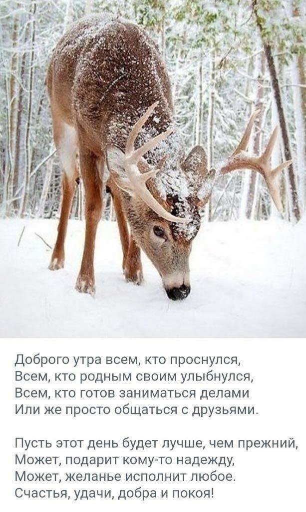 ай и Ср эй Доброго утра всем кто проснулся Всем кто родным своим улыбнулся Всем кто готов заниматься делами Или же просто общаться с друзьями Пусть этот день будет лучше чем прежний Может подарит кому то надежду Может желанье исполнит любое Счастья удачи добра и покоя