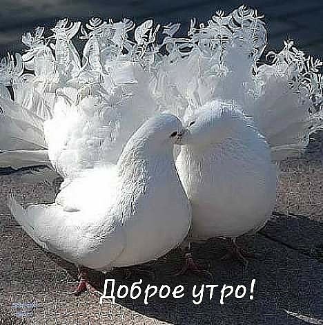 Ьброе утро