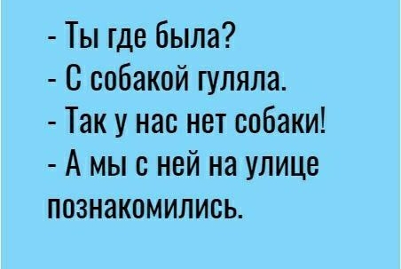 Ты где была С собакой шляпа Так у нас нет собаки А мыс ней на улице познакомились