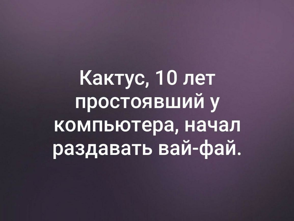 Кактус 10 лет простоявший у компьютера начал раздавать вай фай