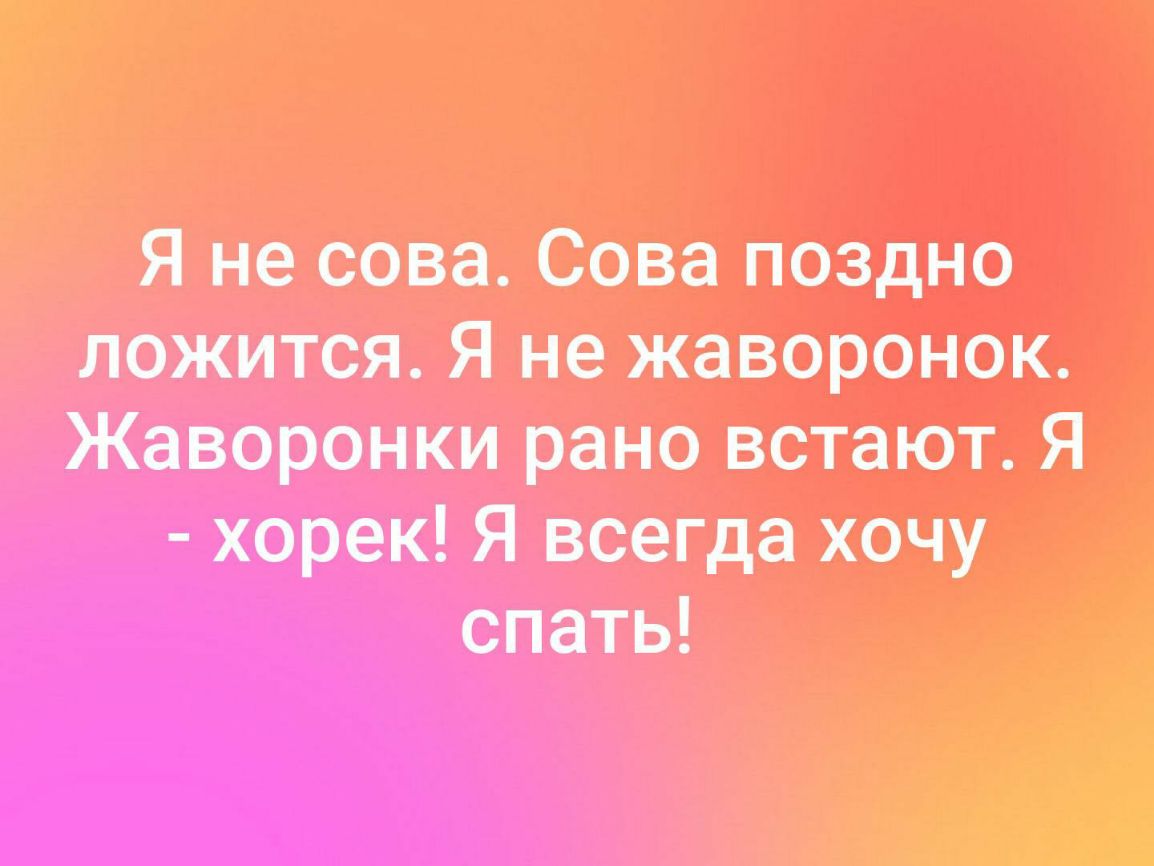 Я не сова Сова всадив появятся Я не жаворонок Жаворонки рано встали я хорек Я веегда хочу спать