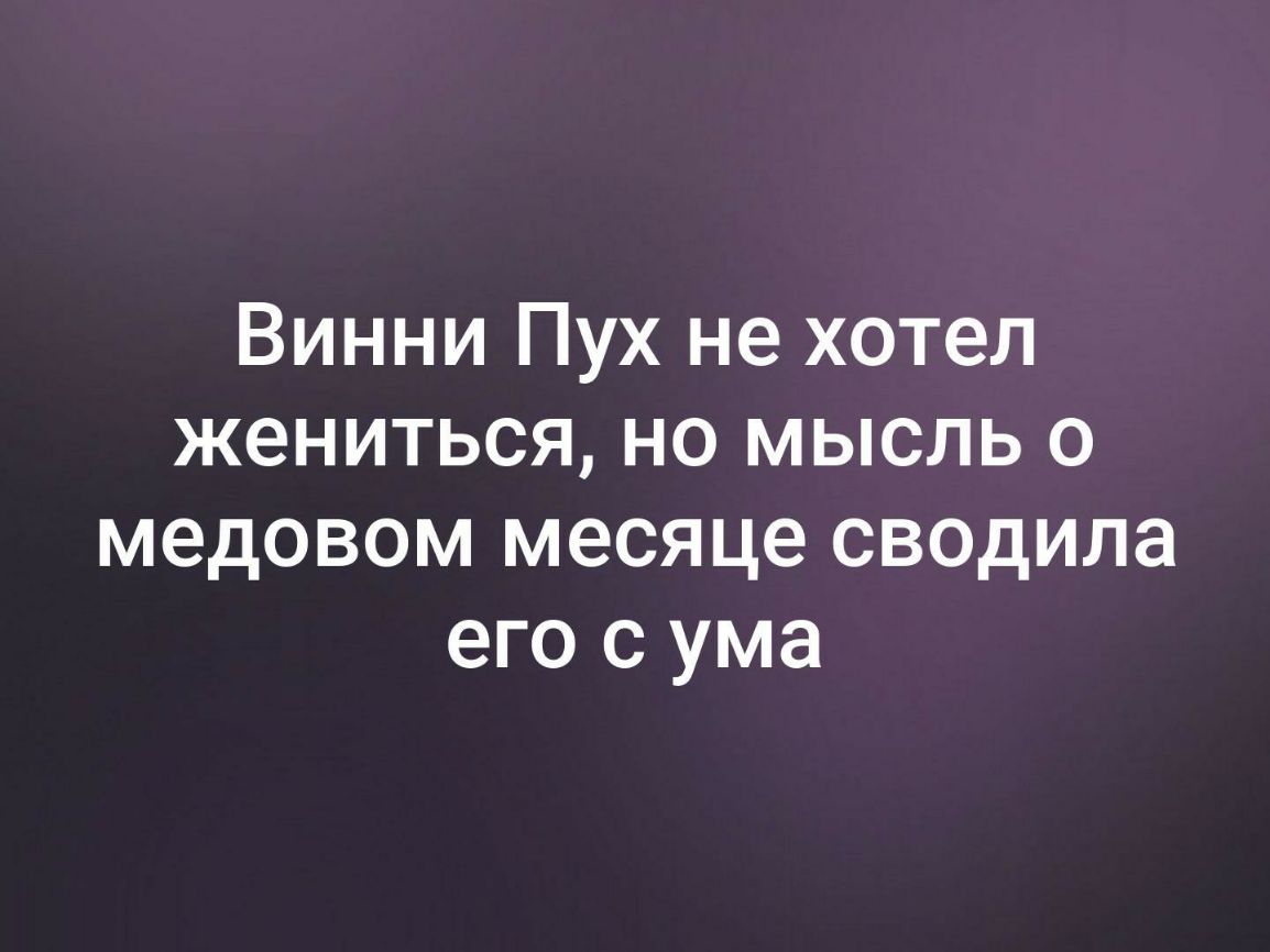 Винни Пух не хотел жениться но мысль о медовом месяце сводила его с ума