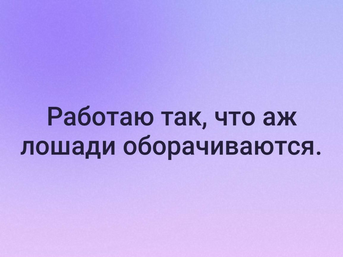 Работаю так что аж лошади оборачиваются