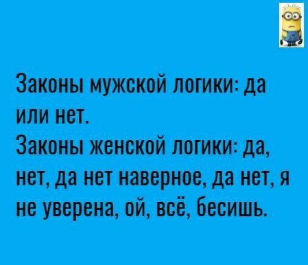 Законы мужской логики да или нет Законы женской логики да нет да нет наверное да нетя не уверена ой всё Бесишь