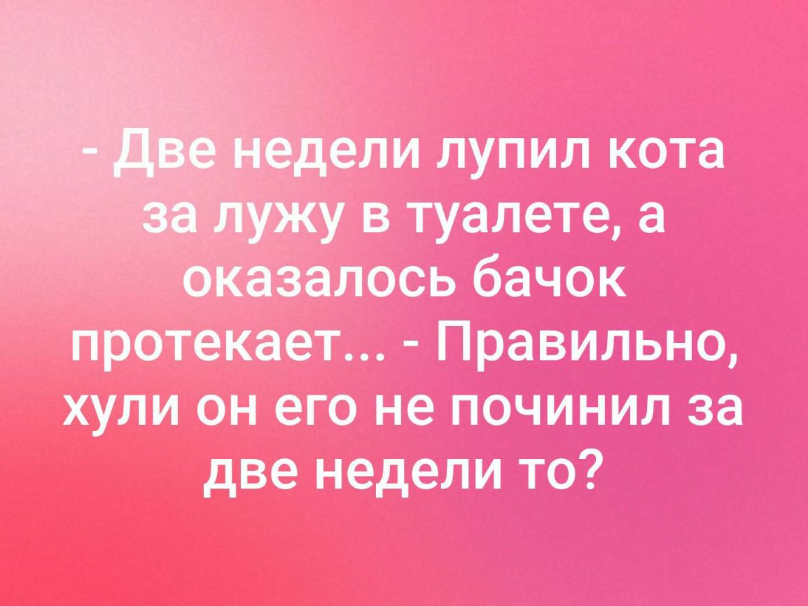 дели лупил кота в туалете а оказалось бачок протекает Правильно хули он его не починил за две недели то