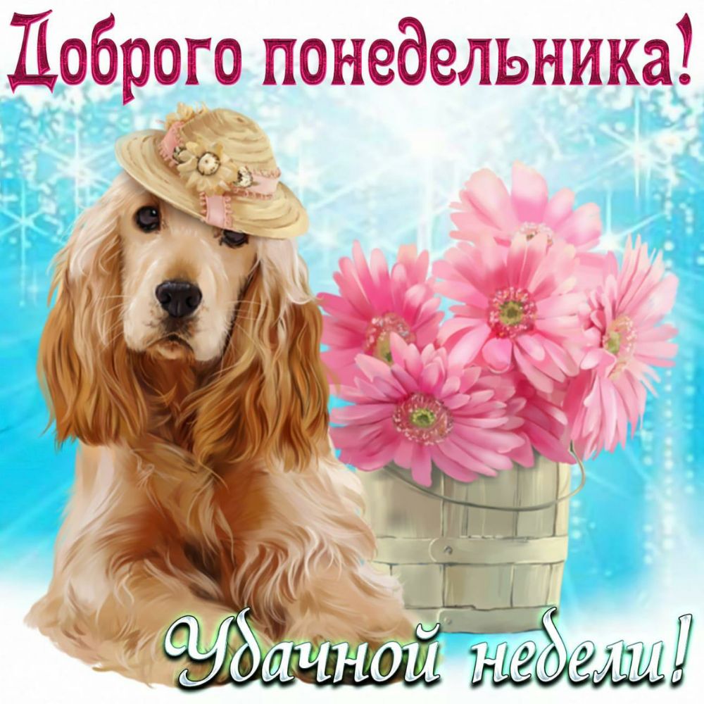 ёёе МД Ч Н и _0 Н и а дд 7 _ 1