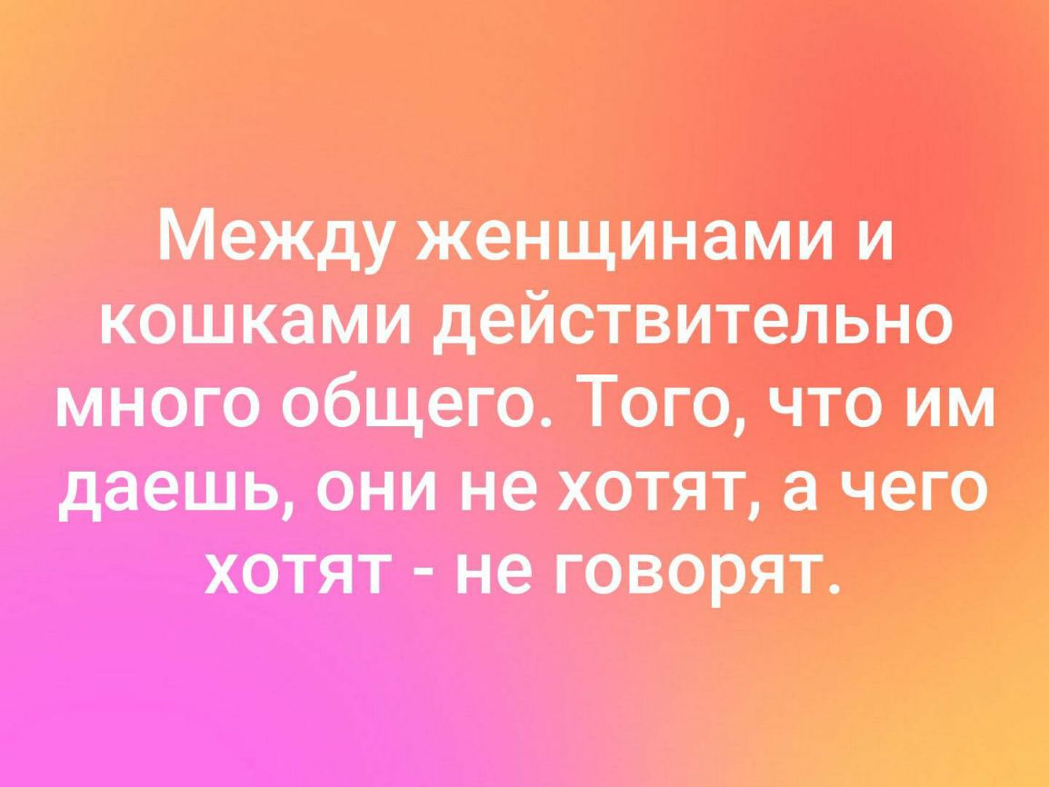 Между женщинами и кошками действительно много общего Того чгго ши даешь они не хотите чего хотят не говорят А