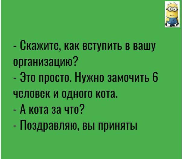 Скажите как вступить в вашу организацию Это просто Нужно замочить 6 человек и одного кота А кота за что Поздравляю вы приняты