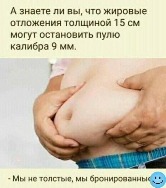 А знаете ли вы что жировые отложения толщиной 15 см могут остановить пулю калибра 9 мм Мы не толстые мы бронированные