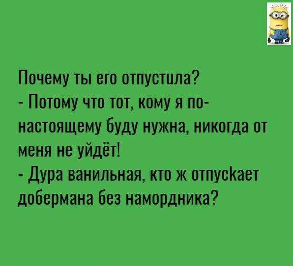 Почему ты его отпустила Потому что тот кому я по настоящему буду нужна никогда от меня не уйдёт Дура ванильная кто ж отпуоКает добермана без намордника