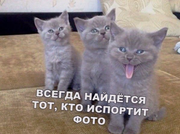 _г СЕГДА ндйдЁтся тот кто испортит ФОТО