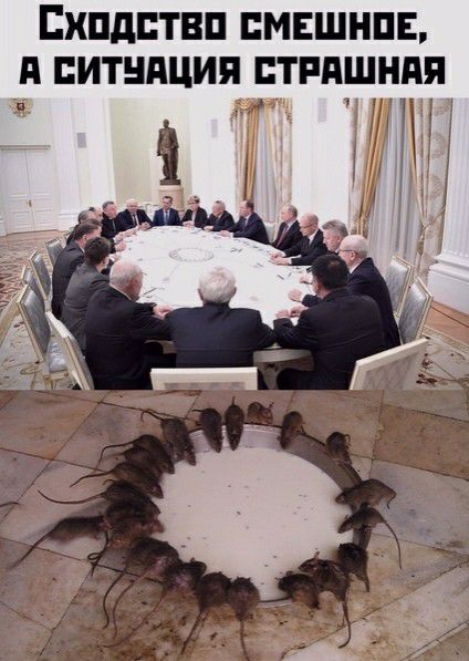 ЕХПДПТВП МЕШНПЕ д ПИТНПЦИП ПТРПШНАЯ г