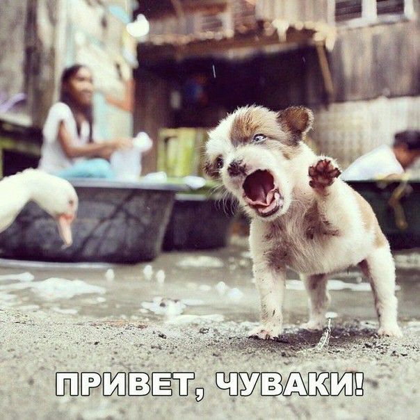 щ