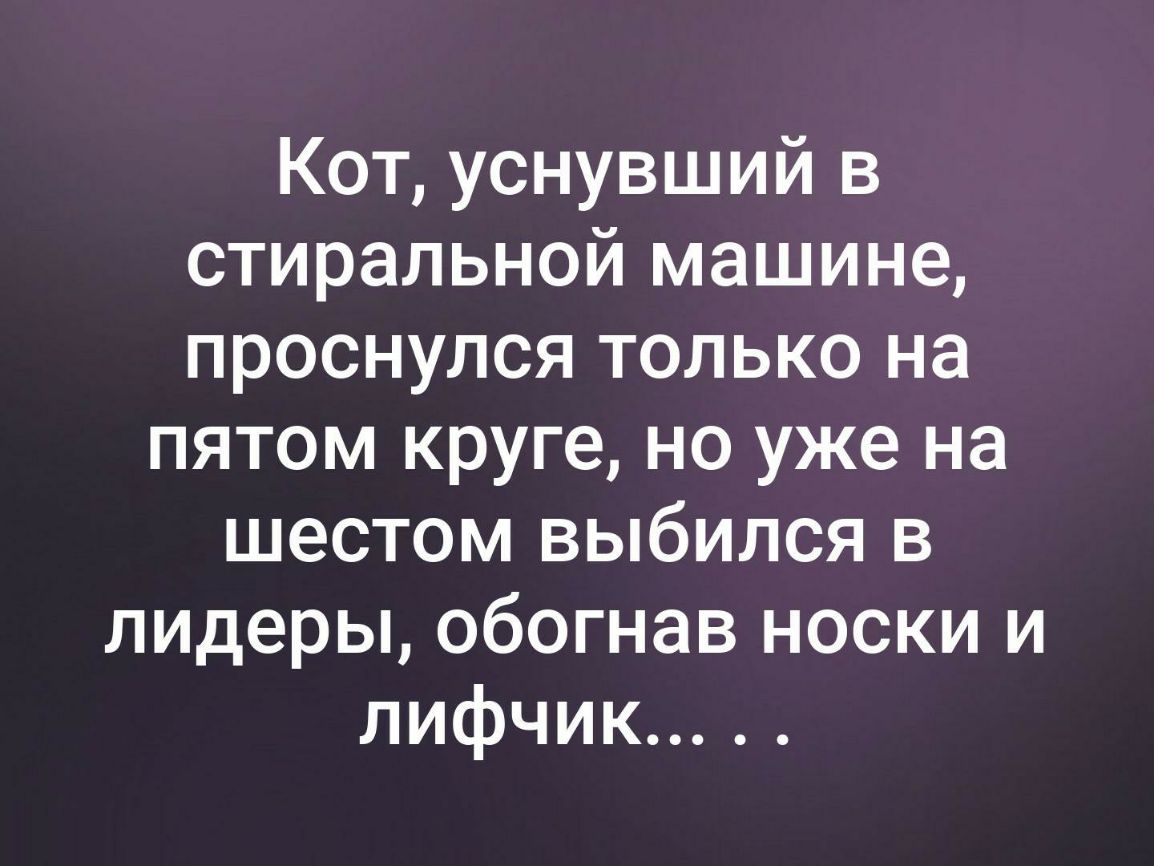 Кот уснувший в стиральной машине проснулся только на пятом круге но уже на шестом выбился в лидеры обогнав носки и лифчик