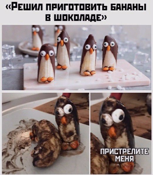 РЕШИП ПРИГПТПВИТЬ БПНПНЫ В ШПКППддЕ