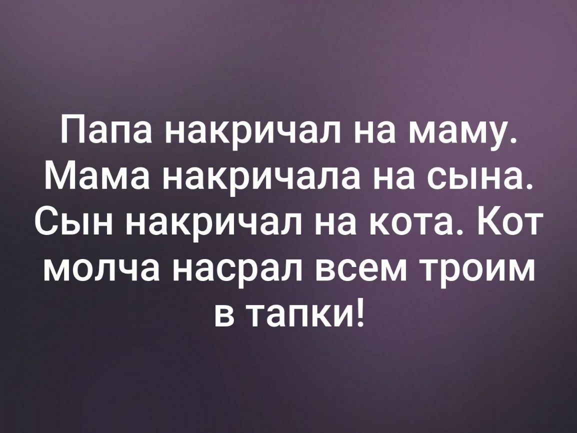 Папа накричал на маму Мама накричала на сына Сын накричал на кота Кот молча насрал всем троим в тапки
