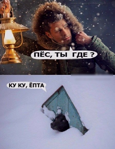 ку ку Ёптд