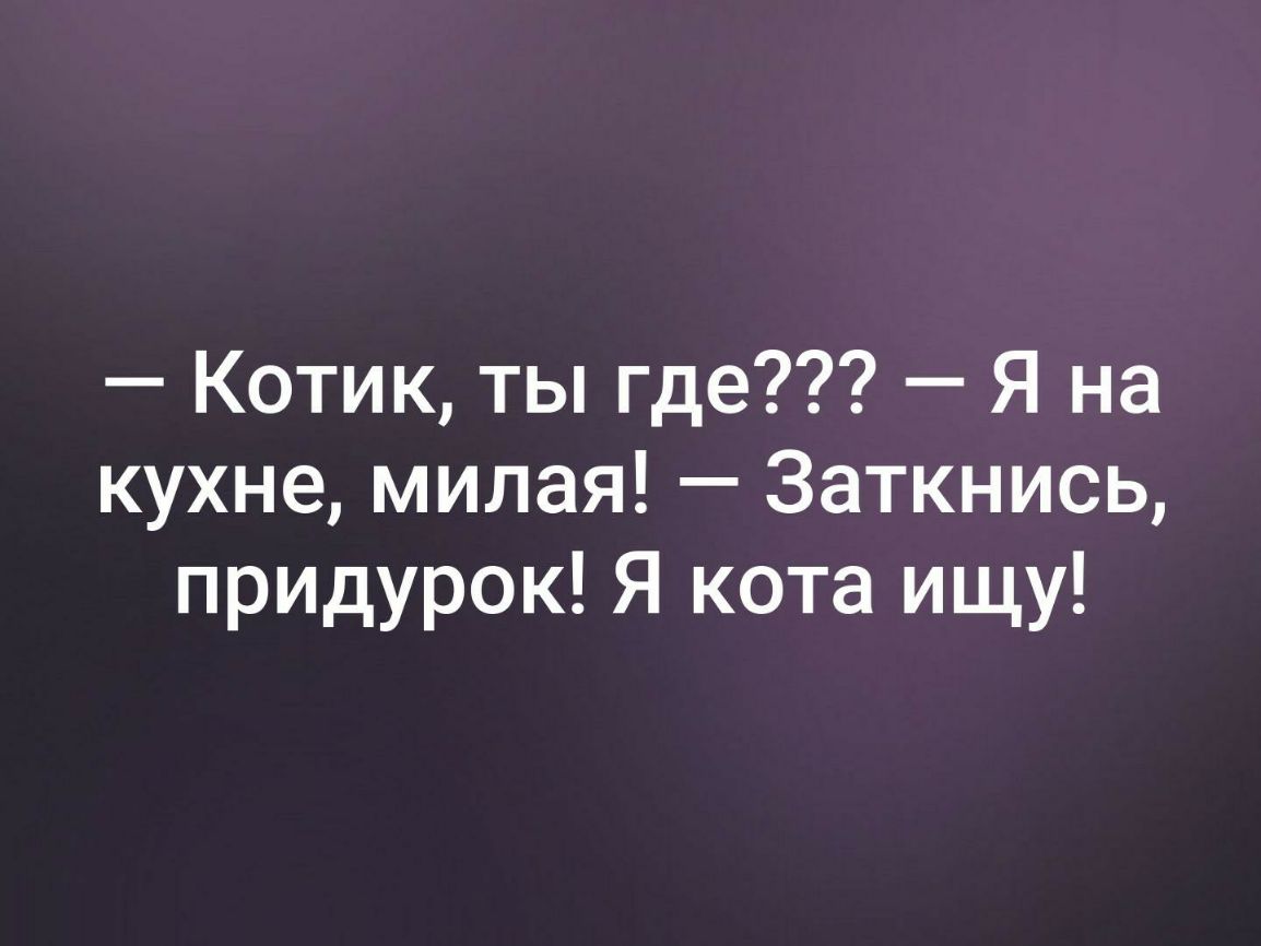 Котик ты где Я на кухне милая Заткнись придурок Я кота ищу