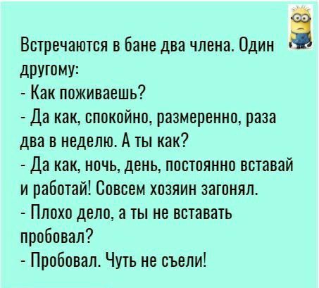 Встречаются в бане два члена Один друтому Как поживаешь Да как спокойно размеренно раза два в неделю А ты как Да как ночь день постоянно вставай и работай Совсем хозяин затонял Плохо дело а ты не вставать пробовал Пробовал Чуть не съели